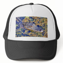 Gator Aligators Swamps Hats