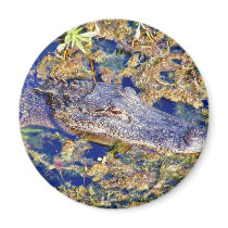 Gator Aligators Swamps Fridge Magnet