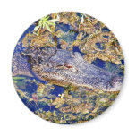 Gator Aligators Swamps magnets