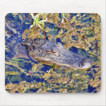 Gator Aligators Swamps Mouse Pads