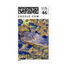 Gator Aligators Swamps Stamps