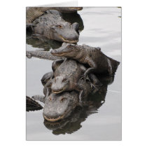 Gator Birthday Party cards