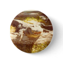 GATOR buttons by GATOR_GALLERY GATOR buttons