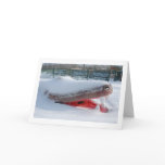 Gator Gator