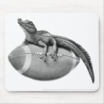 Gator Football mousepads
