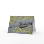 Gator Greeting Card
