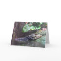 'Gator Grins - Greeting Card