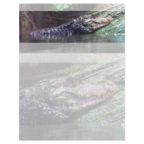 'Gator Grins - Letterhead by bontondesigns 'Gator Grins - Letterhead