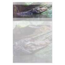 'Gator Grins - Stationery by bontondesigns 'Gator Grins - Stationery