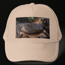 Gator Hat hats