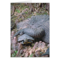 "Gator Hugs" cards