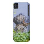 Gator iPhone4 Case casemate cases