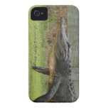 Gator iPhone Case casemate cases