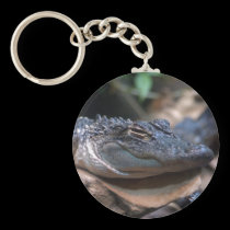 gator keychain keychains