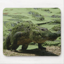 Gator mousepads