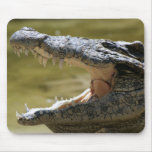 Gator Mouse Pads