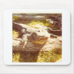 GATOR USE MATS