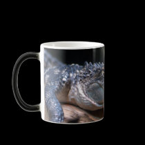 gator mug mugs