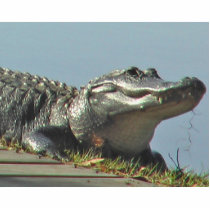 Gator photo sculptures