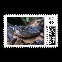 Gator Postage stamps