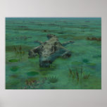 Gator posters