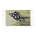 Gator Rider photo cards
