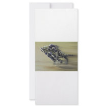Gator Rider rack cards by Lefrogzle Gator Rider rack cards