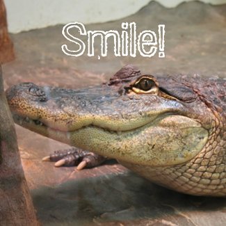 Gator Smile sticker
