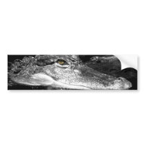 Gator Sticker bumper stickers by gwendrop Gator Sticker bumper stickers
