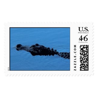 Gator Trail Close-up Postage - Matching Card!
