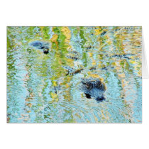 Gators Aligators Swamps cards by lifesphere Gators Aligators Swamps cards