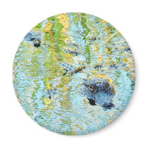 Gators Aligators Swamps Fridge Magnet