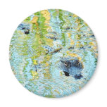 Gators Aligators Swamps magnets