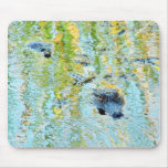 Gators Aligators Swamps Mousepads