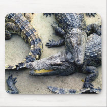 Gators mousepads by APeach Gators mousepads