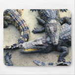 Gators Mouse Mat