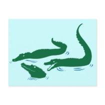 Gators postcards by jamierushad Gators postcards
