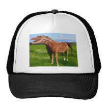 Gatorse hats