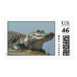 gatorstamp