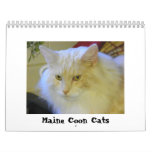 Gatos de Coon de Maine Calendario