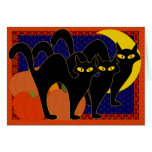 Gatos de la sombra tarjetón