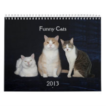 Gatos/gatitos divertidos calendario