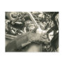 "Gauntlets" Postcard