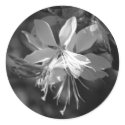 Gaura Black & White stickers