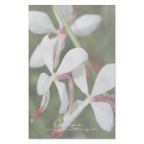 Gaura stationery