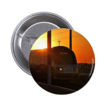 Gautrain Pin