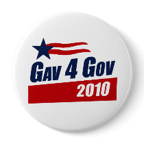 Gav for Gov 2010 Pinback Button