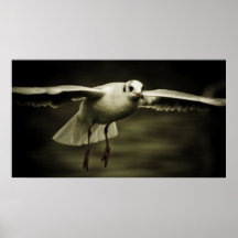 Gaviota Impresiones