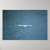 Gaviota Impresiones