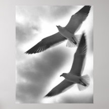 Gaviotas que vuelan arriba posters
